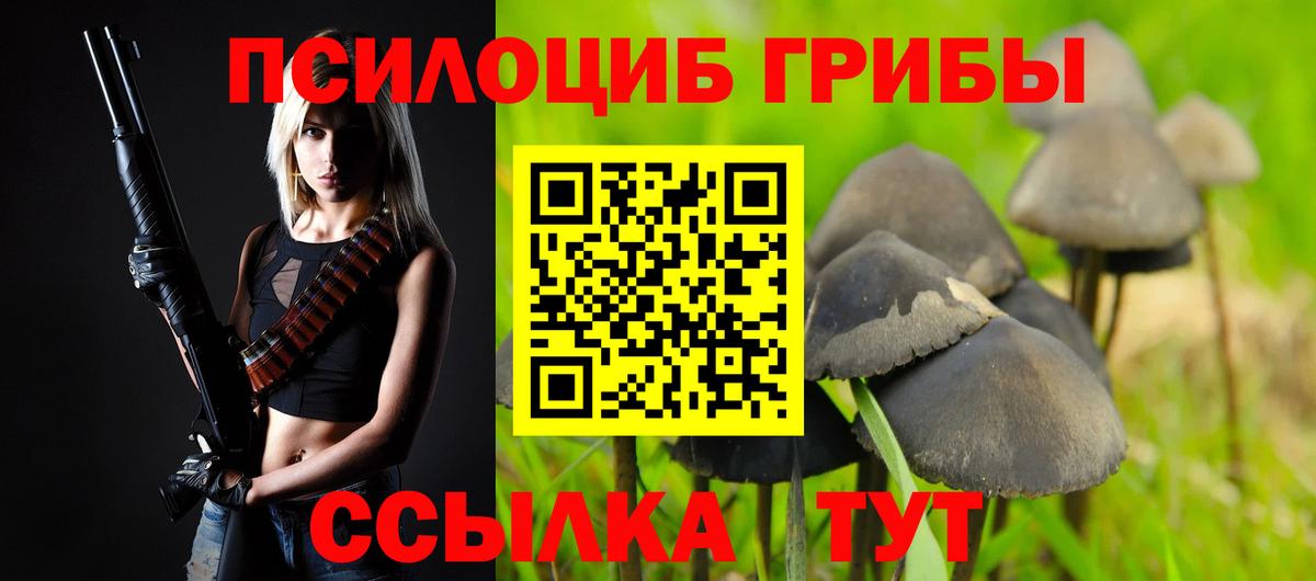 Северобайкальск  Галлюциногенные грибы MAGIC MUSHROOMS  Псилоцибиновые грибы мухоморы  Вход с VPN 